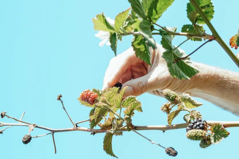 pexels kindel media 7457198 1 scaled