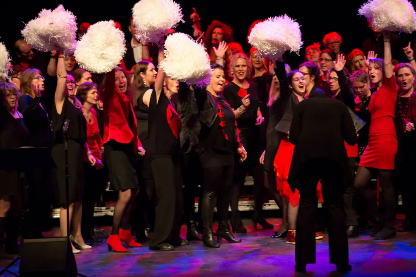 pop rock koor start nu ook in barneveld kopie