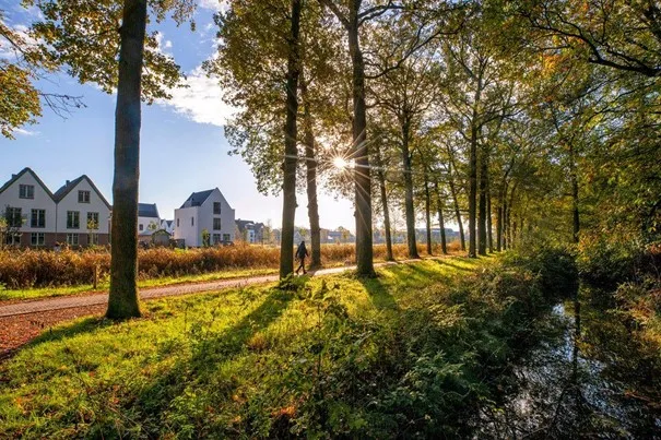 provincie gelderland