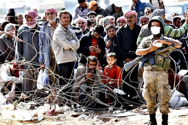 refugees blazingcatfurca1