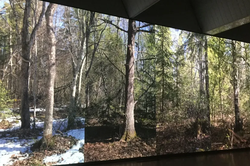 rene hazeleger scaled