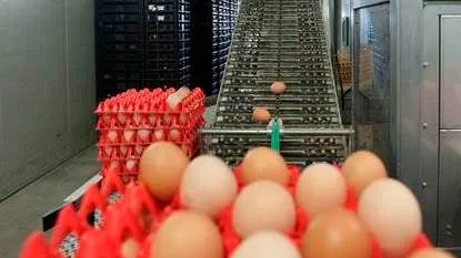 rondeelei 3jpg mediatheeknvwa