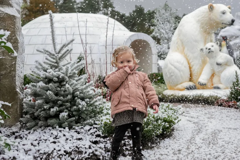 sfeerfoto wintertuin zandsculpturen