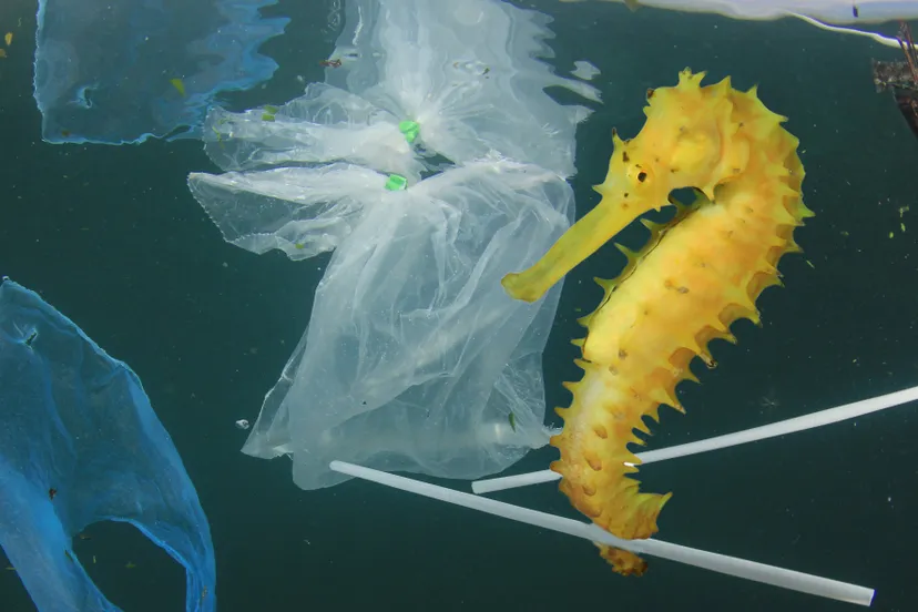 shutterstock 1078902029