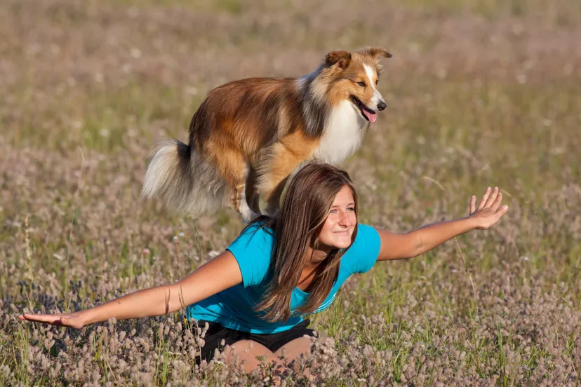 shutterstock 2262463722