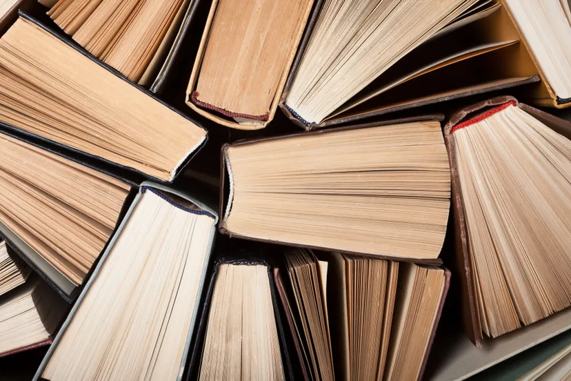 shutterstock 732217162