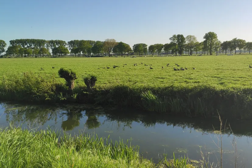 stichting landschaps