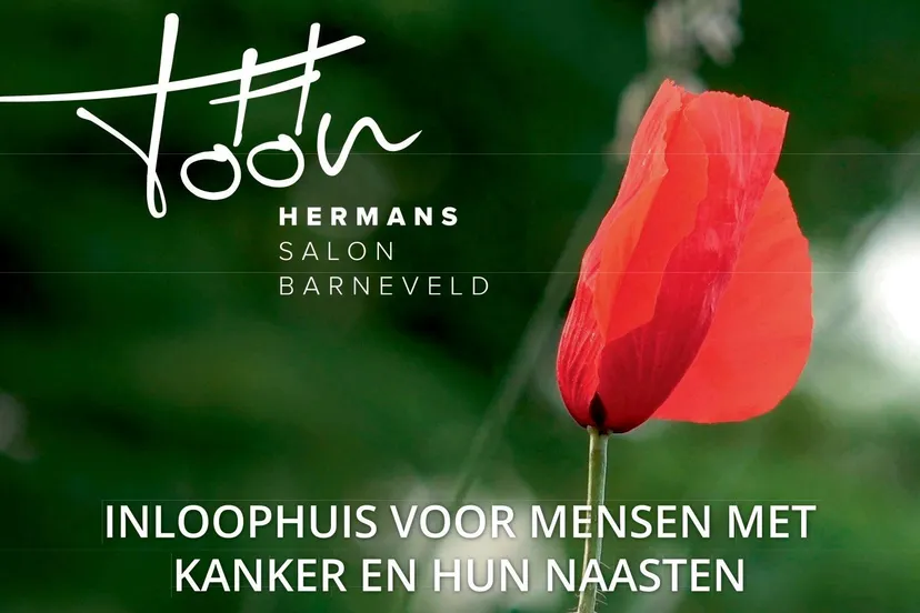 toon hermans salon