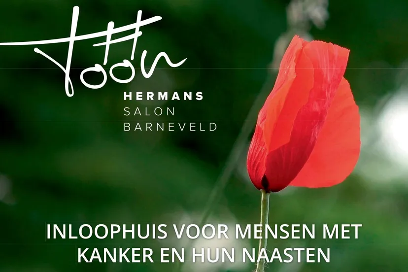 toon hermans salon