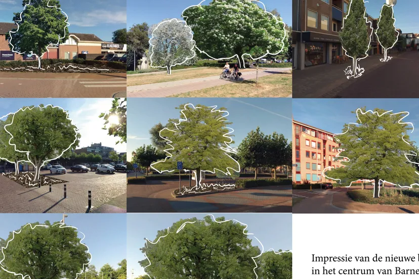 visual bij 23 036 locaties 24 nieuwe bomen barneveld centrum bekend lr