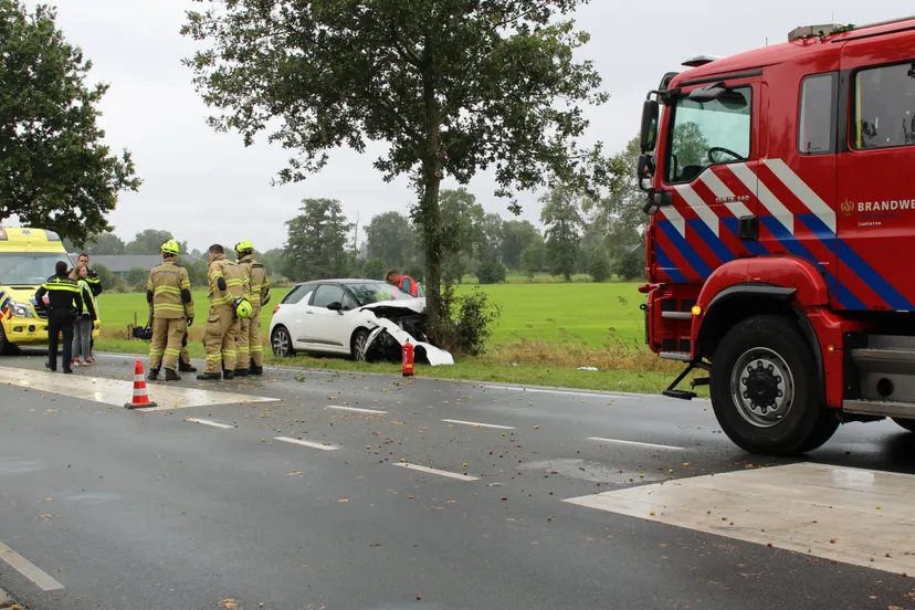 westzoom 26 september 2022 scaled