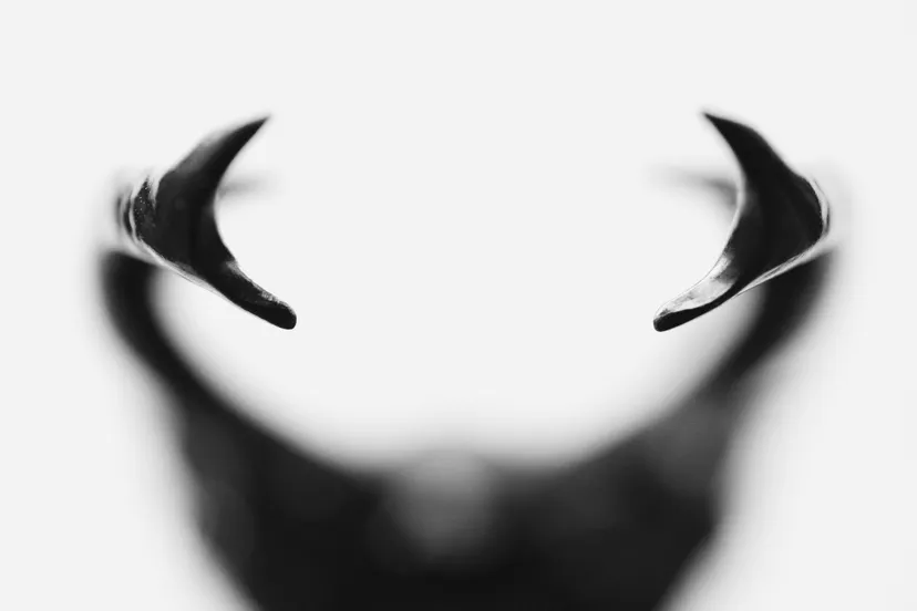 winnaar gelderse natuurfotowedstrijd 2022 sonja bohte bronvermelding verplicht