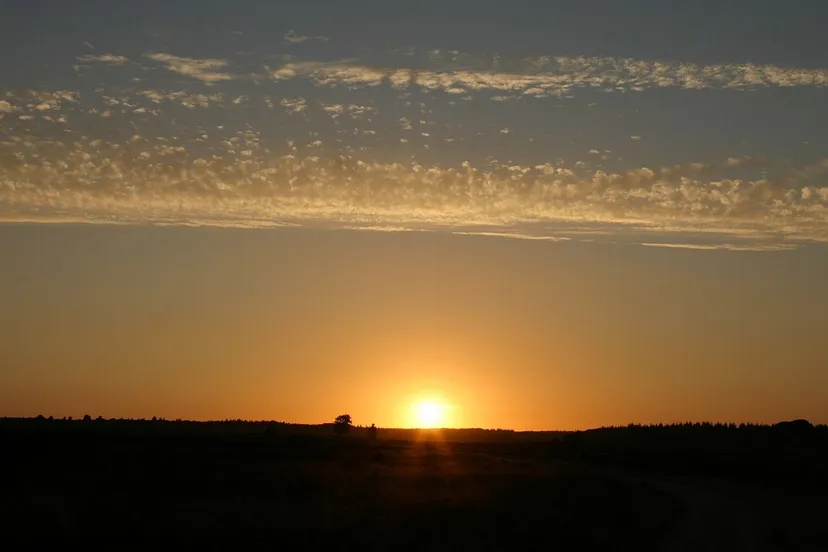 zonsondergang edese heide