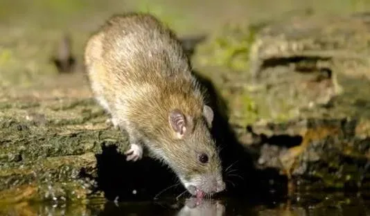 unnamed 67b45558121b9jpg