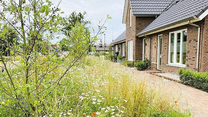 csm bloemendal met bloemen 001 uitsnede 124e9abd37