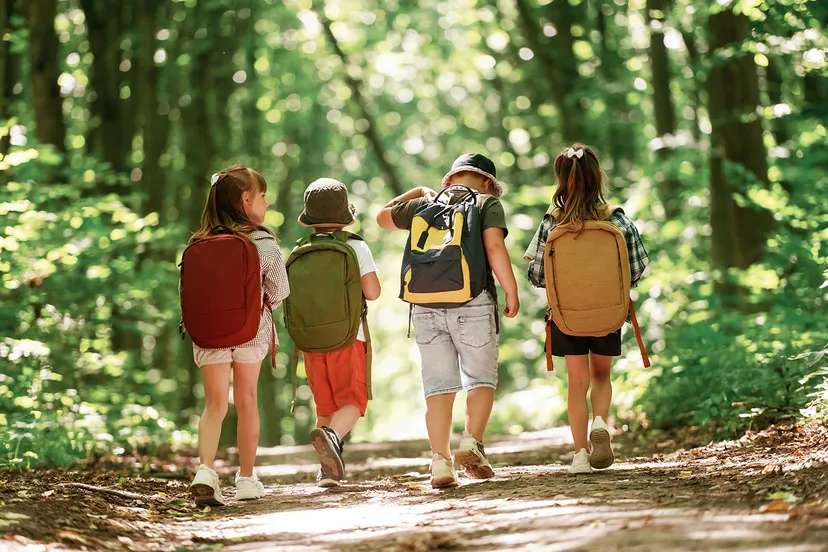 conception of hiking kids in forest at summer day 2024 07 25 15 07 35 utc