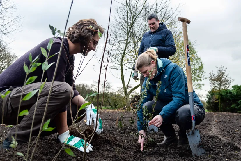 aanplanting voor stichting landschapsbeheer gelderland highres marcel de bont fotografie 09