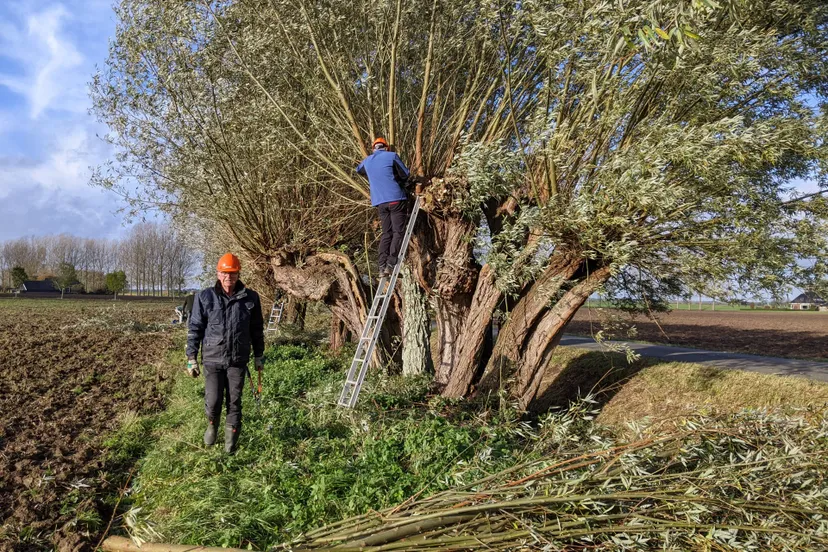 PXL_20231104_085116270