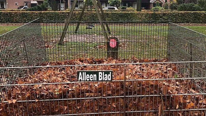 csm_Bladkorf_24626c99ca