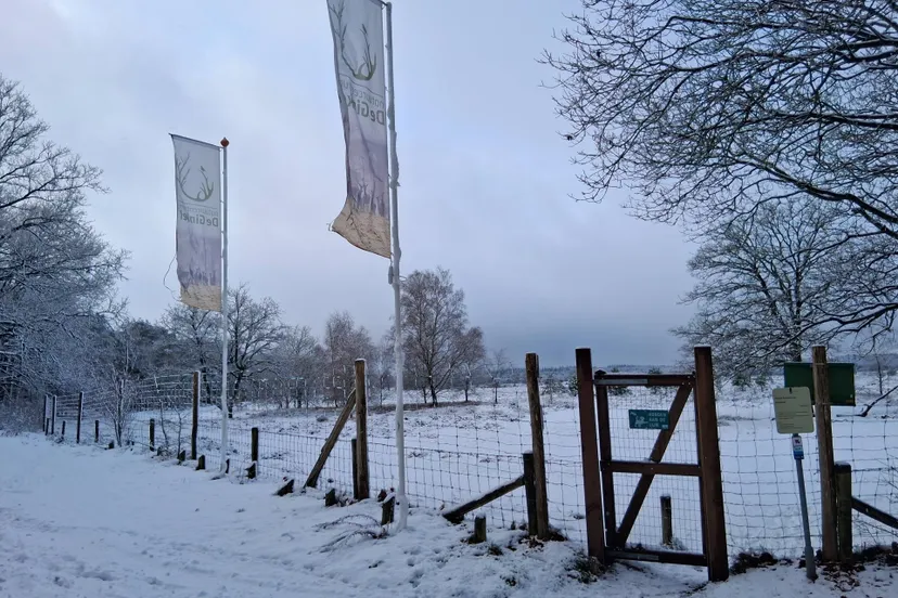 20260103_nc de ginkel sneeuwlandschap