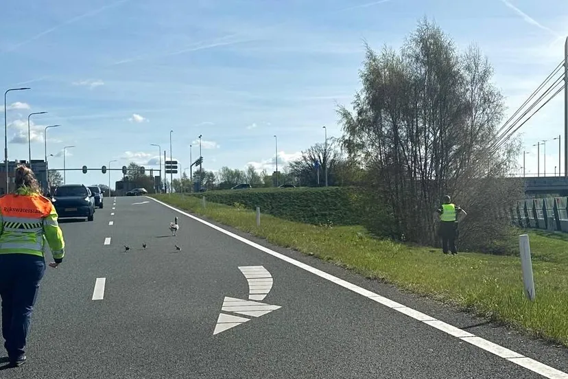 660031485_18546794227070630_1738360295708231487_n