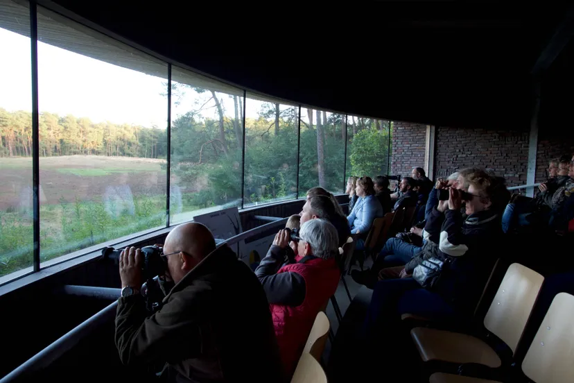 Wildkansel met bezoekers - nc veluwe