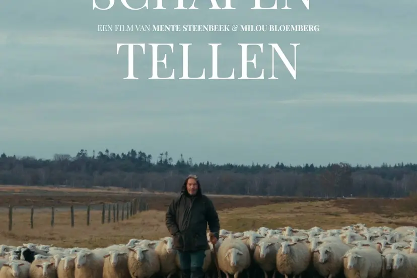 filmposter schapen tellen v1 verkleind