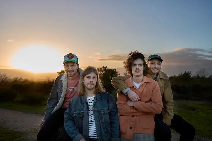 1 elephant photo landscape by peter van esch small