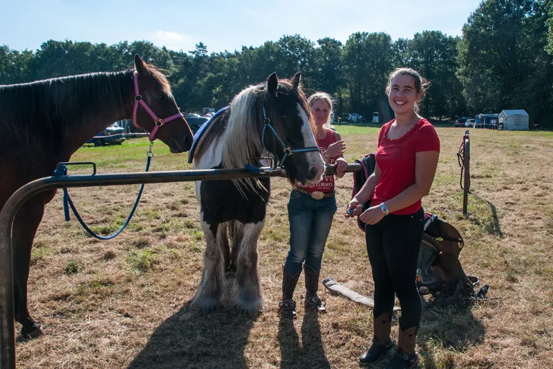 2017 804 woe paarden3daagse 003