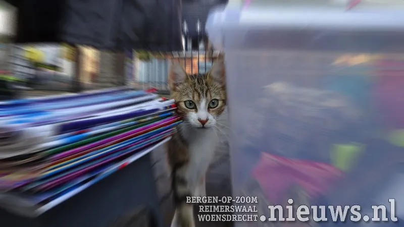 20170903 boz rommelmarkt 02