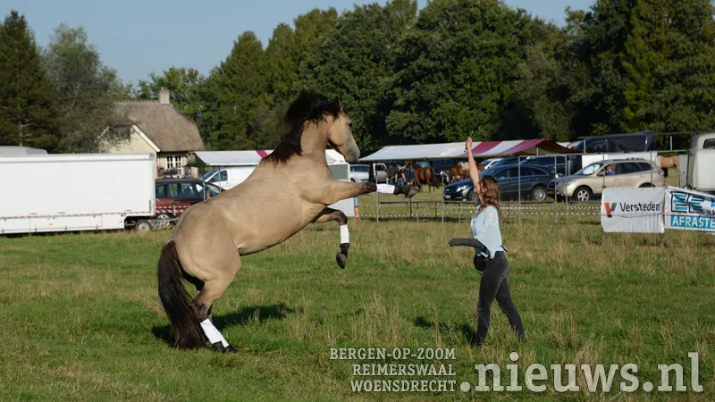 20170923 huij paarden 001