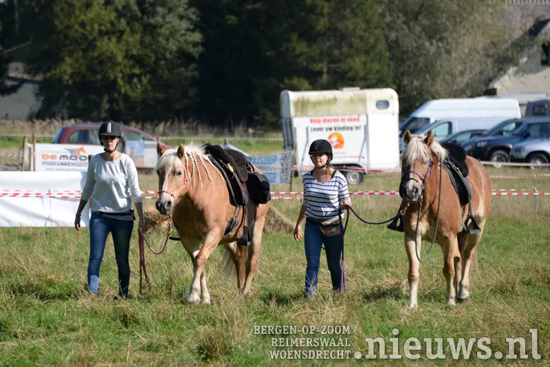 20170923 huij paarden 002