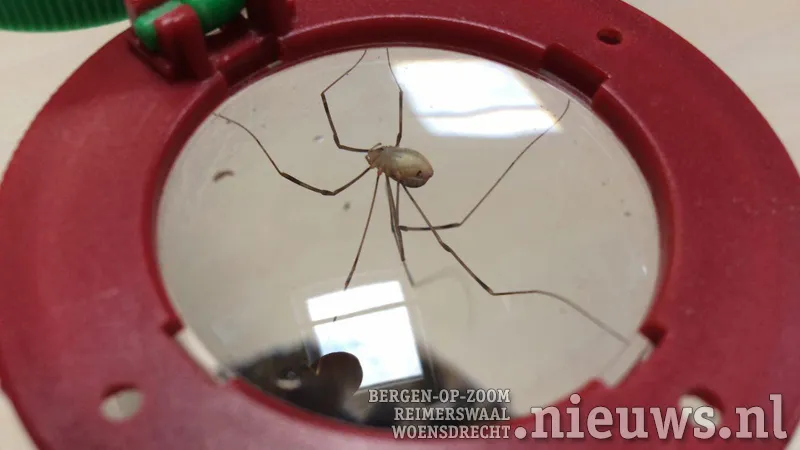 20170927 beestjes 001