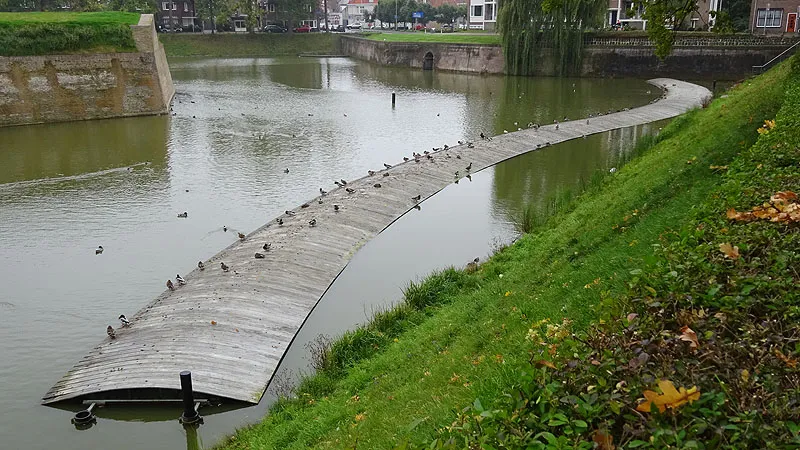 201710 ravelijnopdenzoom 02
