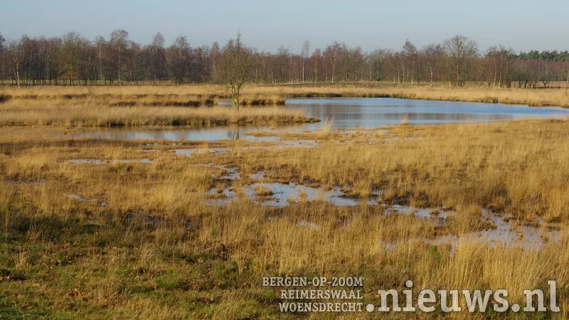 20180130 kalmth wandeling