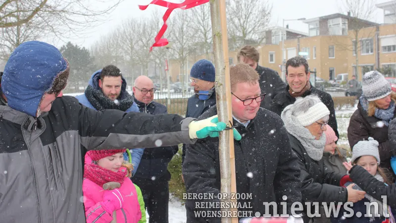 20180319 boz boompje 001