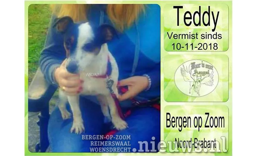 20181112 boz teddyvermist 000