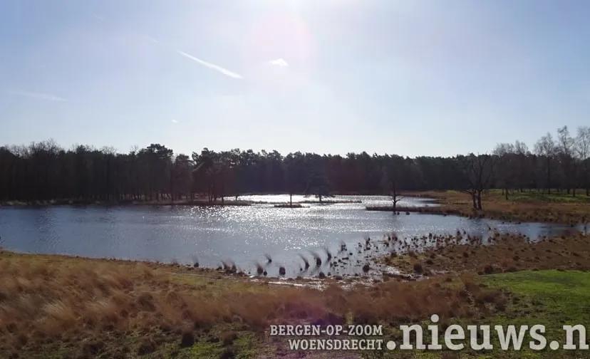 20200312 jkr hoo bos en water