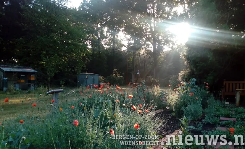 20200724 huij kloostertuin