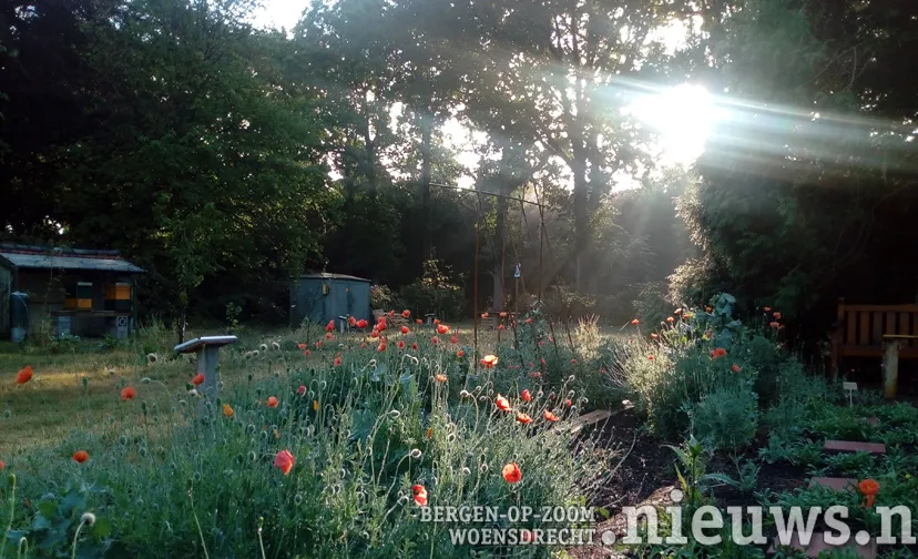 20200724 huij kloostertuin