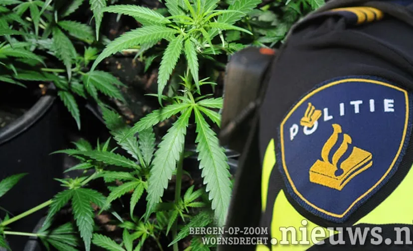 alg politie hennep 001