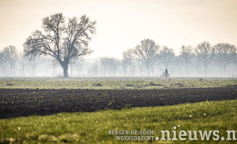 de bulkenaar