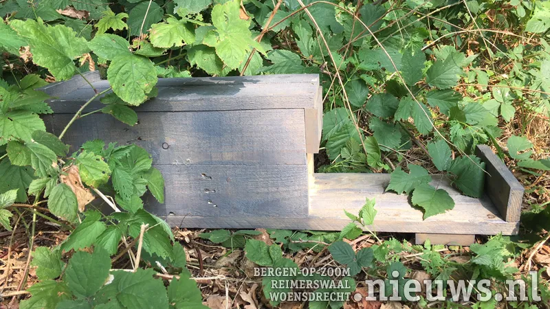 egelhuisje foto marit kamp