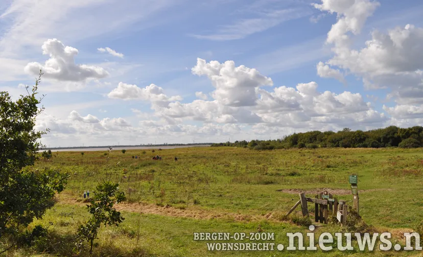 foto leo den heijer brab landschap