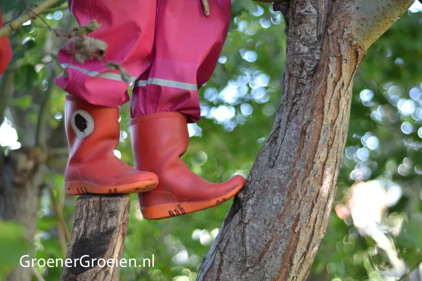 groenergroeien schoolplein
