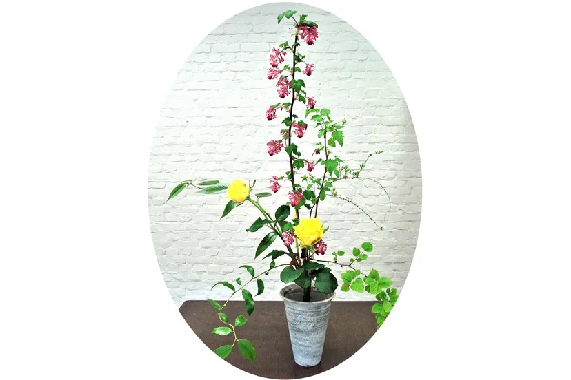 ikebana