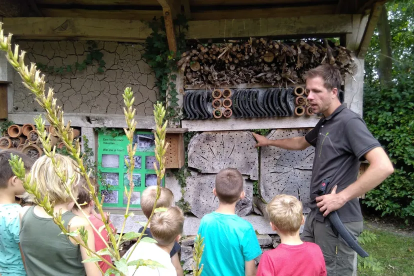 insectenhotel kraayenberg