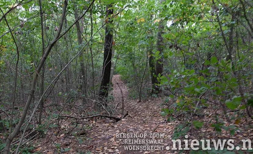 jkr oss bos volksabdij 0011