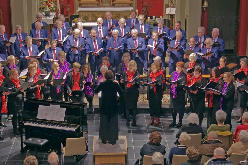 mea dulcea en fortissimo