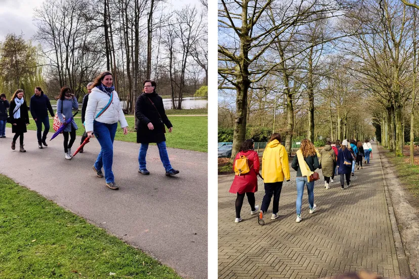 netwerkwandeling